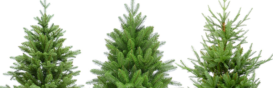 Χριστουγεννιάτικα Δέντρα