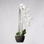 Supergreens Τεχνητό Φυτό Ορχιδέα Phalaenopsis Real Touch Λευκή με Βάση Moss 85 Εκ.