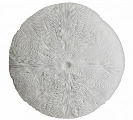 Zaros Διακοσμητικο Κοράλι Τοίχου Ρητίνης Λευκό Φ61 Εκ. PI402