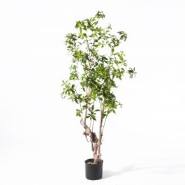 Supergreens Τεχνητο Δέντρο Φίκος "Japonica" Πράσινο 175 Εκ.