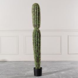Supergreens Τεχνητός Κάκτος "Thimble" Πράσινος 19x17x165 Εκ.
