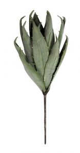 ESPIEL ΛΟΥΛΟΥΔΙ ΠΡΑΣΙΝΟ ΚΩΔΙΚΟΣ: LOL211K6