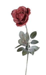 ESPIEL ΛΟΥΛΟΥΔΙ ΜΠΟΡΝΤΩ ΚΩΔΙΚΟΣ: LOW204K6