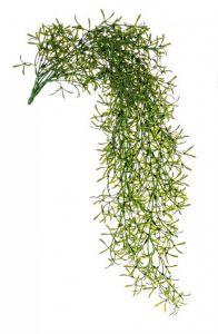 Bizzotto Κρεμαστό Φύλλωμα Ριψαλίδα 81 Εκ. Κωδικός: 0171040