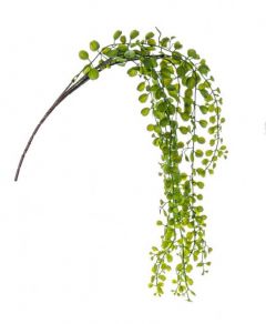 Bizzotto Κρεμαστό Φύλλωμα Σενέκιο Σκούρο Πράσινο 86 Εκ. Κωδικός: 0171045