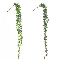 Bizzotto Κρεμαστό Φύλλωμα Σενέκιο 71 Εκ. 2 Χρώματα Κωδικός: 0171046