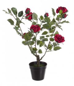 Bizzotto Isabel Τεχνητό Φυτό Τριανταφυλλιά Σε Γλάστρα Κόκκινη 51x39x66