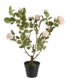Bizzotto Isabel Τεχνητό Φυτό Τριανταφυλλιά Σε Γλάστρα Λευκή 51x39x66