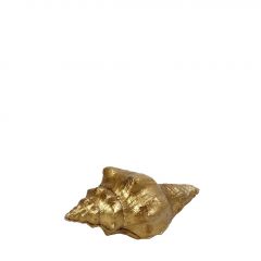 Espiel Διακοσμητικό Κοχύλι Polyresin Χρυσό 9x4,5x4 Κωδικός: MT2723K6