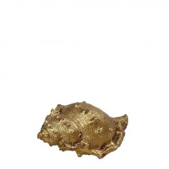 Espiel Διακοσμητικό Κοχύλι Polyresin Χρυσό 7,5x4,5x4 Κωδικός: MT2735K6