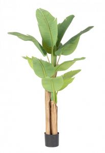 Bizzotto Τεχνητό Φυτό Μπανανιά Σε Γλάστρα Ø110x150