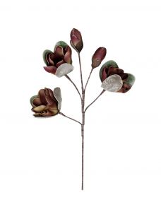 ESPIEL ΛΟΥΛΟΥΔΙ ΜΠΟΡΝΤΩ 80 ΕΚ. ΚΩΔΙΚΟΣ: LOL839K6