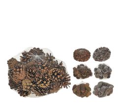 ZAROS ΦΥΣΙΚΑ ΚΟΥΚΟΥΝΑΡΙΑ ΣΕ ΔΙΧΤΥ 3 ΣΧΕΔΙΑ 300 ΓΡ. ΚΩΔΙΚΟΣ: YL138