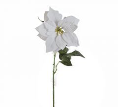 Zaros Χριστουγεννιάτικο Λουλούδι Αλεξανδρινό Βελούδινο Λευκό 71 Εκ. Κωδικός: AX664