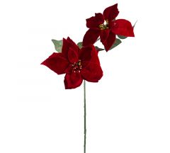Zaros Χριστουγεννιάτικο Λουλούδι Αλεξανδρινό Βελούδινο Σκούρο Κόκκινο 60 Εκ. Κωδικός: AX665
