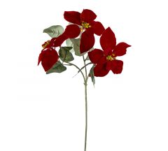 Zaros Χριστουγεννιάτικο Λουλούδι Αλεξανδρινό Βελούδινο Σκούρο Κόκκινο 64 Εκ. Κωδικός: AX666