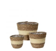 Zaros Κασπώ Υάκινθου Κρεμ/Καφέ Σε Σετ 3 Σχεδίων 18 Εκ. Κωδικός: HE268