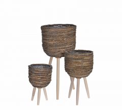 Zaros Κασπώ "Banana Leaf" Σετ 3 Τεμαχίων Καφέ 30x60 Κωδικός: HE283