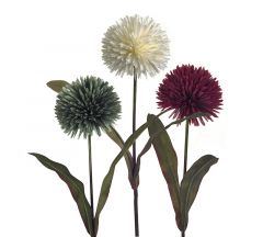 Zaros Τεχνητό Λουλούδι Αλιουμ Κρεμ/Πράσινο/Ροδί 13x72 Κωδικός: AX776