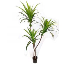 Zaros Τεχνητό Φυτό Δράκαινα Σε Γλάστρα 165 Εκ. FL159