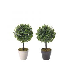 Zaros Τεχνητό Φυτό Buxus Σε Γλαστράκι 2 Χρώματα Φ12x24 Εκ. FL175