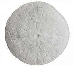 Zaros Διακοσμητικο Κοράλι Τοίχου Ρητίνης Λευκό Φ61 Εκ. PI402