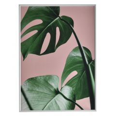 Inart Πίνακας Σε Καμβά "Φυτό" Πράσινος/Ροζ 50x70 Κωδικός: 3-90-763-0082