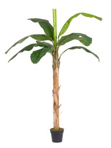 Bizzotto Τεχνητό Φυτό Μπανανιά Σε Γλάστρα 200 Εκ.