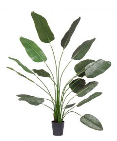 Bizzotto Τεχνητό Φυτό Στρελίτζια Σε Γλάστρα 210 Εκ.