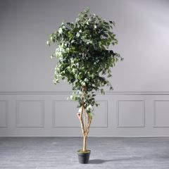 Supergreens Τεχνητό Δέντρο Φίκος Σε Γλάστρα 198 Εκ.