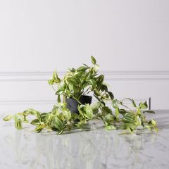 Supergreens Τεχνητό Φυτό Πόθος Neon 20x72 Εκ.