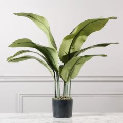 Supergreens Τεχνητό Δέντρο Του Ταξιδιώτη 90 Εκ.