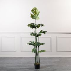 Supergreens Τεχνητό Δέντρο Μονστέρα 180 Εκ.