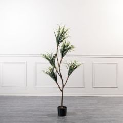 Supergreens Τεχνητό Δέντρο Δράκαινα 160 Εκ.