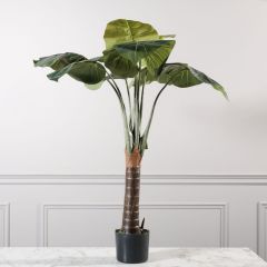 Supergreens Τεχνητό Δέντρο Αλοκάσια 120 Εκ.