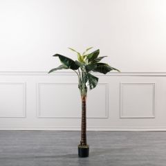 Supergreens Τεχνητό Δέντρο Αλοκάσια 150 Εκ.