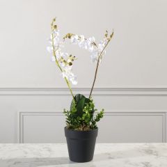 Supergreens Τεχνητό Φυτό Ορχιδέα Phalaenopsis 50 Εκ.