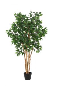 Bizzotto Ficus Plant W-Vase H145 Ø55x145h