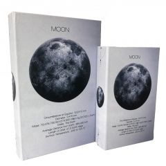 Espiel Κουτιά "Βιβλία" Mdf/Pu Γκρι/Χρυσά Σετ 2 Τμχ 30x20x6,5 Εκ. Κωδικός: BIB109