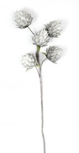 ESPIEL ΛΟΥΛΟΥΔΙ ΓΚΡΙ ΚΩΔΙΚΟΣ: LOL506K6