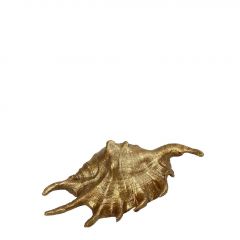 Espiel Διακοσμητικό Κοχύλι Polyresin Χρυσό 15x7,5x4,5 Κωδικός: MT2721K2