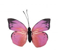 Espiel Πεταλούδα Χάρτινη Ροζ 30x27x3 Κωδικός: FTE323K6