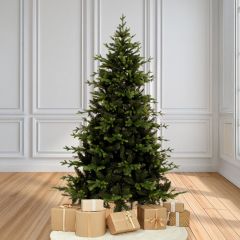 Iliadis Δενδρο Dolomites 210Ek 