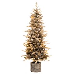 Iliadis Δενδρο   Pre Lit Iceland Potted Fir   180Εκ Με 180 Rgb Led Λευκα And Πολυχρωμα Λαμπακια 