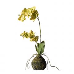Supergreens Τεχνητό Φυτό Ορχιδέα Phalaenopsis Real Touch Κίτρινη Με Βάση Moss 40 Εκ.