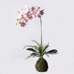 Supergreens Τεχνητό Φυτό Ορχιδέα Phalaenopsis Real Touch Ροζ με Βάση Moss 60 Εκ.