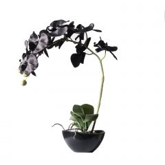 Supergreens Τεχνητό Φυτό Ορχιδέα Phalaenopsis Real Touch Μαύρη Με Κασπώ 47 Εκ.