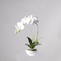 Supergreens Τεχνητό Φυτό Ορχιδέα Phalaenopsis Real Touch Λευκή Με Κασπώ 50 Εκ.