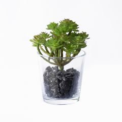 Supergreens Τεχνητό Φυτό Παχύφυτο 16 Εκ.