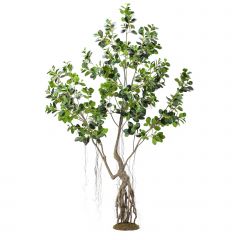 Supergreens Τεχνητό Δέντρο Φίκος Ginseng Πράσινο 250 Εκ.
